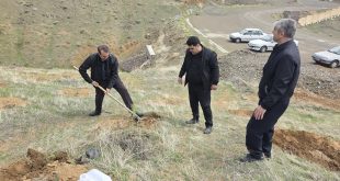 غرس چند اصله درخت مثمر در سیزدهم فروردین 1405